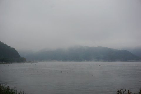 DSC06376.jpg