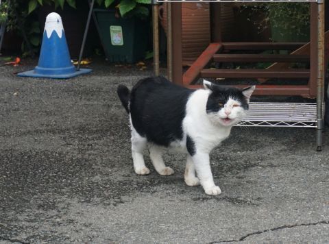 DSC06377.jpg