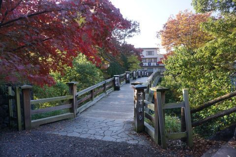DSC06411.jpg