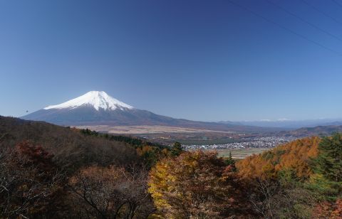 DSC06442.jpg