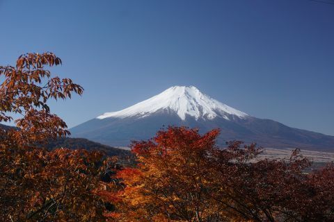 DSC06452.jpg