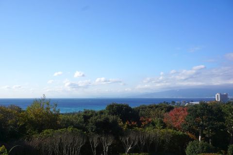 DSC06560.jpg