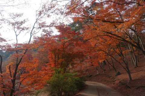 DSC06572.jpg