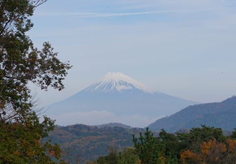 DSC06574.jpg