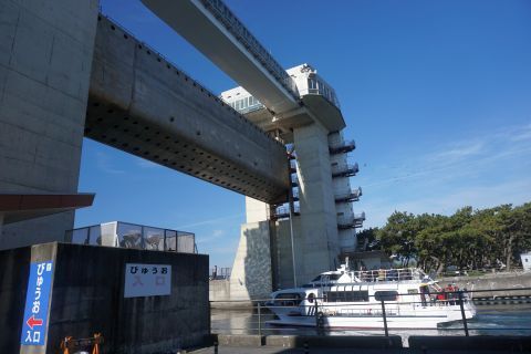 DSC06607.jpg