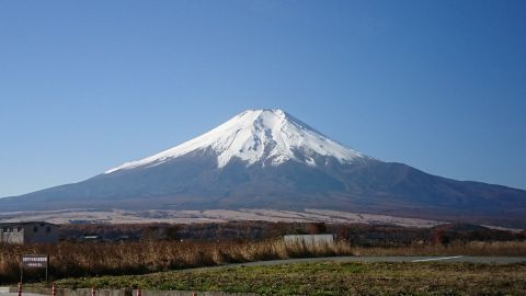 DSC_5316.jpg
