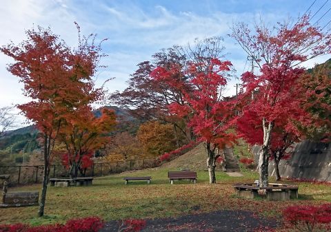DSC_5354.jpg
