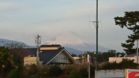 DSC_5498.jpg