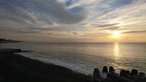 DSC_5499.jpg