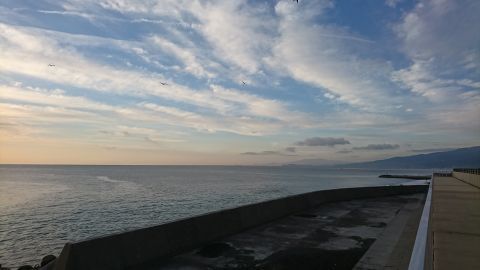 DSC_5500.jpg