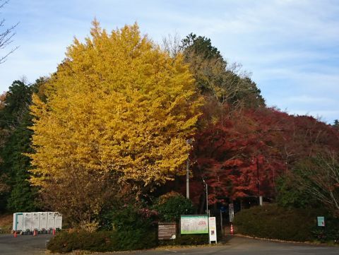 DSC_5507.jpg